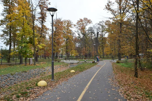 Schilderachtig Uitzicht Het Stadspark Bij Herfst — Stockfoto