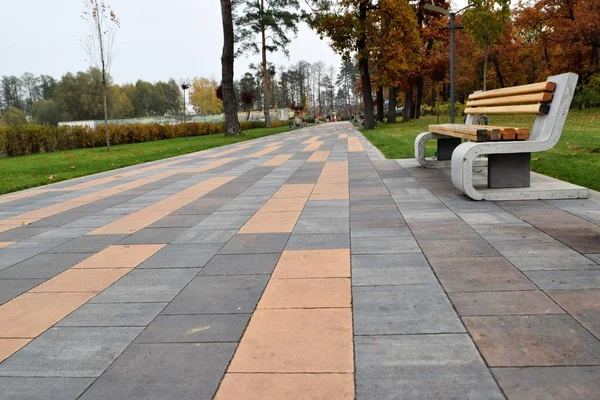 Schilderachtig Uitzicht Het Stadspark Bij Herfst — Stockfoto