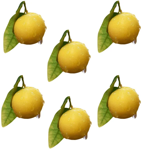Cyprus Citrusvruchten Geïsoleerd Witte Achtergrond — Stockfoto