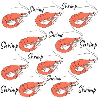 Kırmızı Karides Çizim Arkaplanı Çizimi