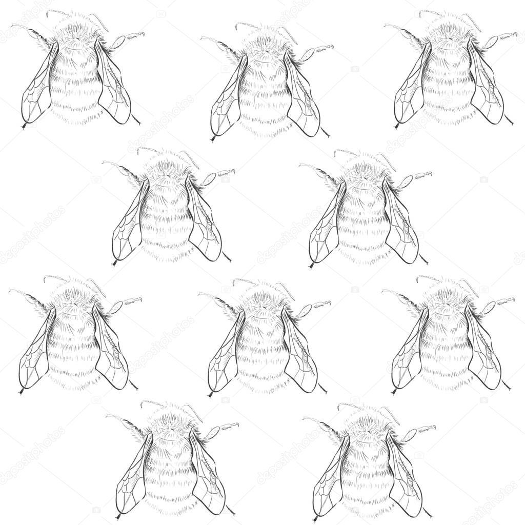 Wild Bees Drawing Background Illustration