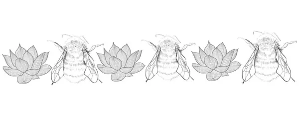 Wild Bees Lotus Tekenen Achtergrond Illustratie — Stockvector