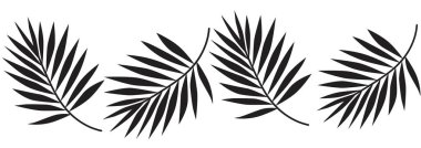 Black Palm Leaf Vector Illustration