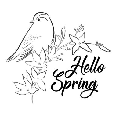  Şirin, Kuş, Hayvan, vektör, illüstrasyon