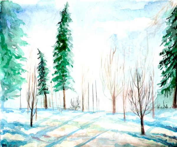 Belle Aquarelle Hiver Forêt Art Fond Illustration — Photo