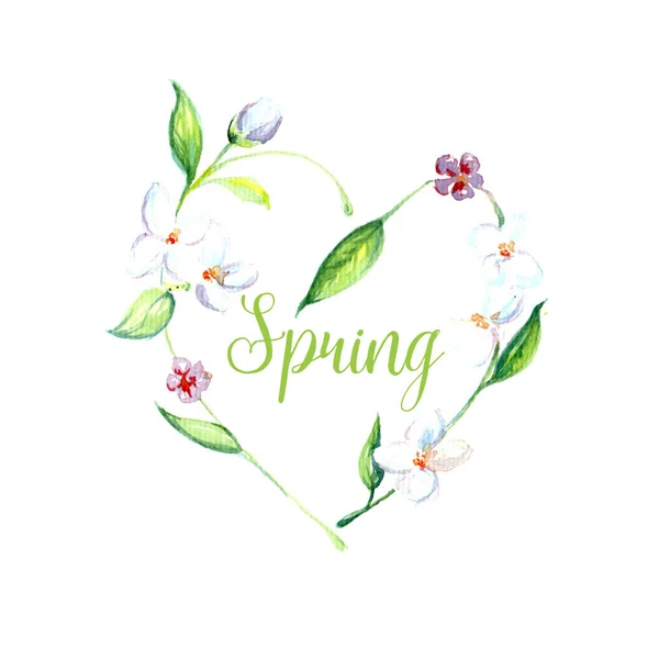 Beautiful Watercolor Spring Flower Art Background Illustration — Stock Photo, Image