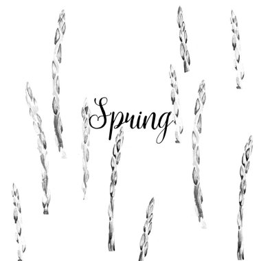  El çizimi sanat kuşkonmaz suluboya çizimi