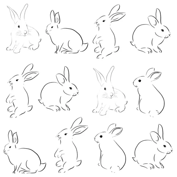 güzel tavşan sanat vektör illüstrasyonu