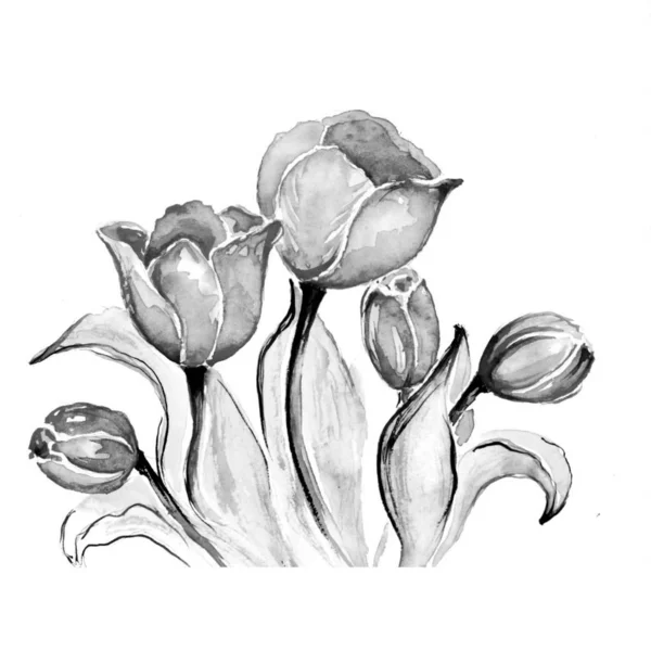 Mooie Tulpen Aquarel Art Illustratie — Stockfoto