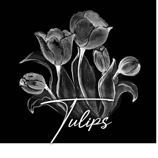 Beautiful Tulips Watercolor Art Illustration — Stock Photo, Image