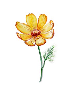 Güzel sarı çiçek çizimi