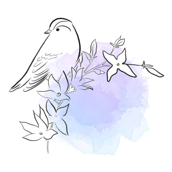 美しい鳥の線ベクトルイラスト — ストックベクタ