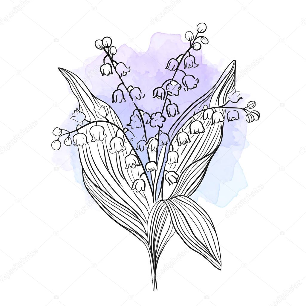 Beautiful flower line vector ILLUSTRATION