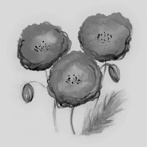 Red Poppy Watercolor Flower Art Illustration — Stock Photo, Image