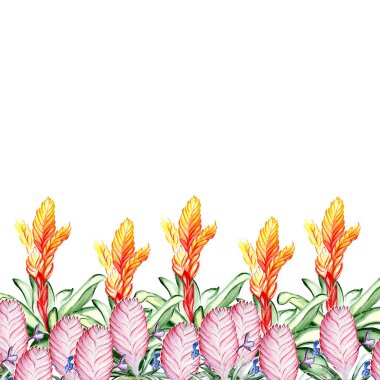 Güzel tropikal çiçek botanik sanatı çizimi