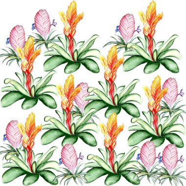 Güzel tropikal çiçek botanik sanatı çizimi