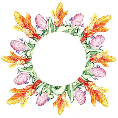 Güzel tropikal çiçek botanik sanatı çizimi