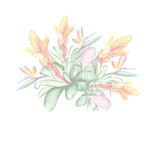Krásné Tropické Květiny Botanika Umění Ilustrace — Stock fotografie