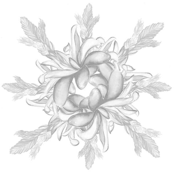 Vacker Tropisk Blomma Botanik Konst Illustration — Stockfoto