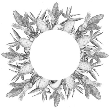 Güzel tropikal çiçek botanik sanatı çizimi