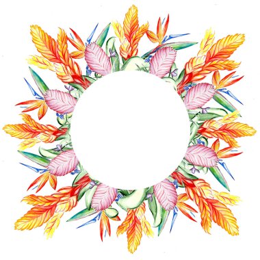 Güzel tropikal çiçek botanik sanatı çizimi