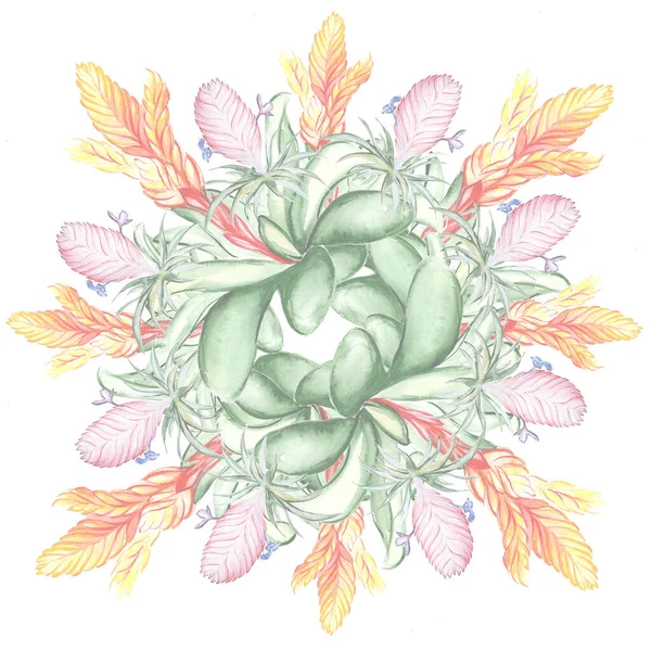 Krásné Tropické Květiny Botanika Umění Ilustrace — Stock fotografie
