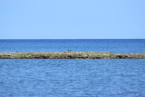 Hermoso Lado Del Mar Vista Chipre — Foto de Stock