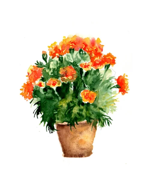 Aquarelle Schilderij Van Vintage Pot Bloem Schets Kunst Illustratie — Stockfoto