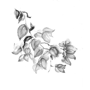 Aquarelle çiçek çizimi resim çizimi