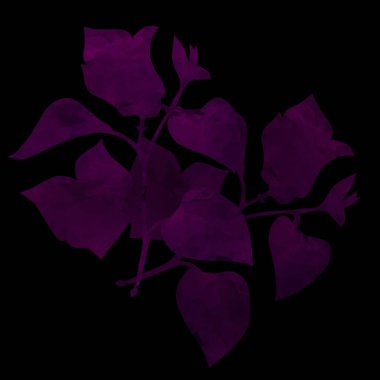 Aquarelle çiçek çizimi resim çizimi