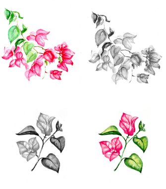 Aquarelle çiçek çizimi resim çizimi