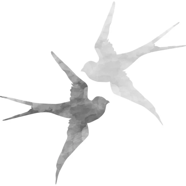 Acquerello Pittura Deglutire Uccello Schizzo Arte Illustrazione — Foto Stock