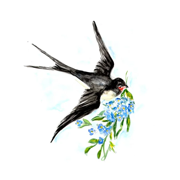 Watercolor painting of Swallow bird sketch art illustration