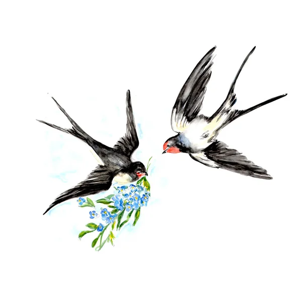 Aquarela Pintura Engolir Pássaro Esboço Arte Ilustração — Fotografia de Stock