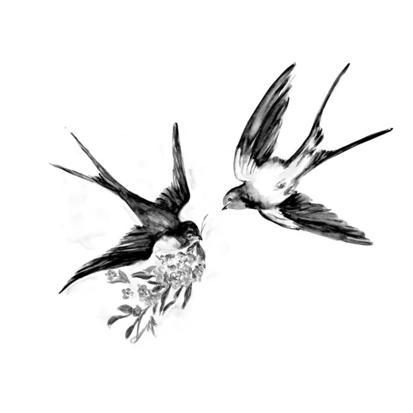 Pintura Acuarela Swallow Bird Sketch Ilustración Arte —  Fotos de Stock