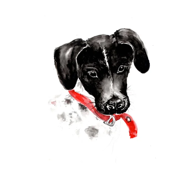 Aquarellmalerei Des Hundes Skizze Kunst Illustration — Stockfoto