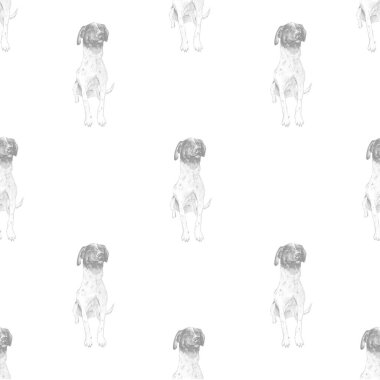 Aquarelle 'de köpek resmi çizimi.