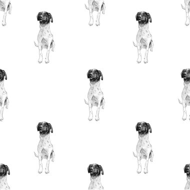 Aquarelle 'de köpek resmi çizimi.