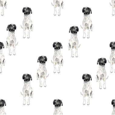 Aquarelle 'de köpek resmi çizimi.