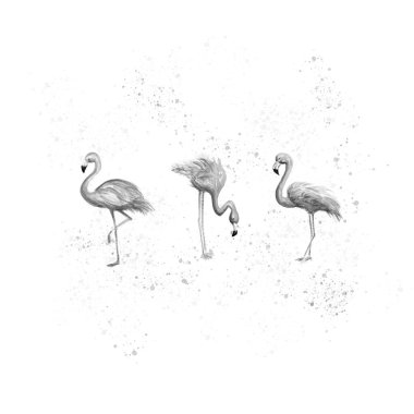 Flamingo çizim desenli arpacık boyası