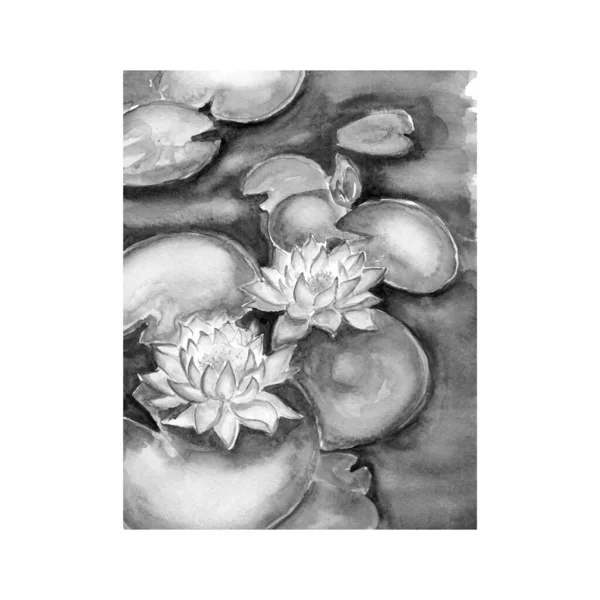 美しい睡蓮の花のスケッチアートイラストのアクエラレ絵画 — ストック写真