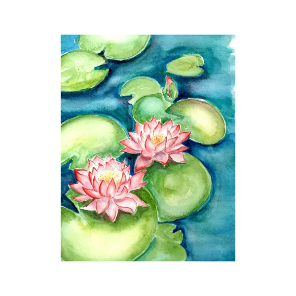 Aquarelle painting of beautiful water lily flower sketch art illustration