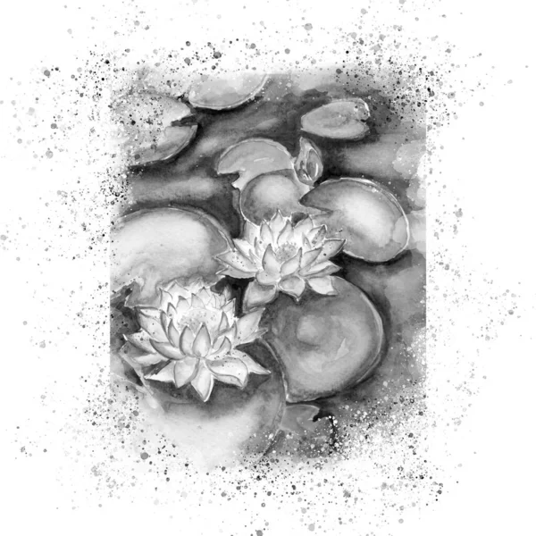 美しい睡蓮の花のスケッチアートイラストのアクエラレ絵画 — ストック写真