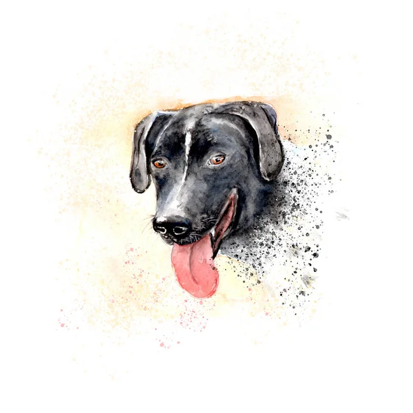 Aquarelle Schilderij Van Hoofd Hond Schets Kunst Illustratie — Stockfoto