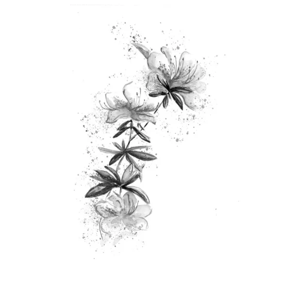美しい花のスケッチアートイラストのアクエラレ絵画 — ストック写真