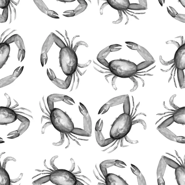 Aquarelle Peinture Crabe Croquis Illustration Art — Photo