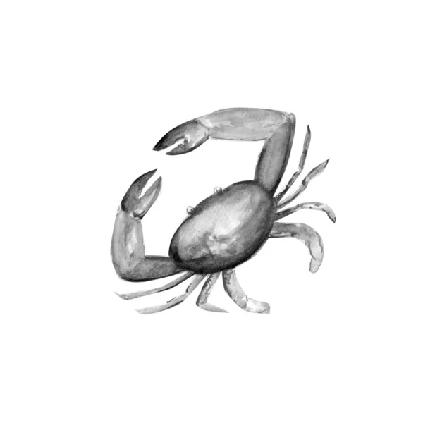 Aquarelle Peinture Crabe Croquis Illustration Art — Photo