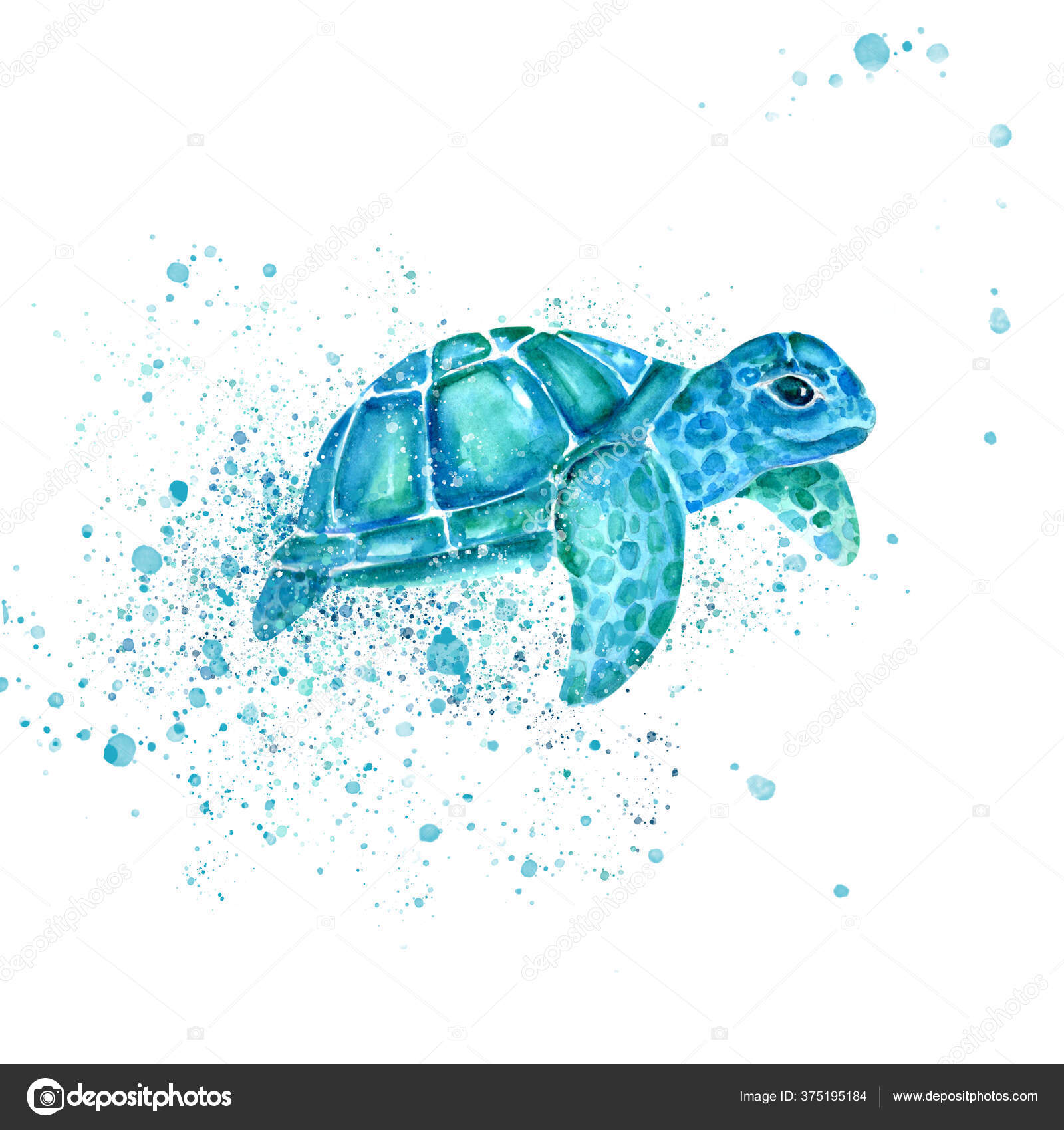Aquarelle Maleri Skilpadde Skissetegninger Illustrasjon – stockillustrasjon  © krasnenkon.gmail.com #375195184, image size:1600x1700