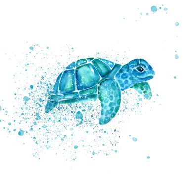 Kaplumbağa eskizinin Aquarelle tablosu.
