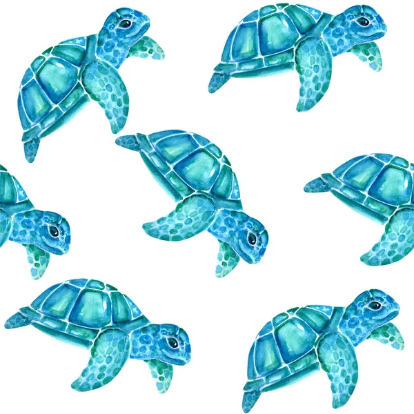 Aquarellmalerei Der Schildkröte Skizze Kunst Muster Illustration — Stockfoto